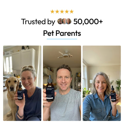HealthyPetz Premium Liquid Collagen